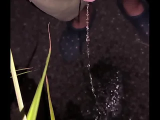 外でおしっこ