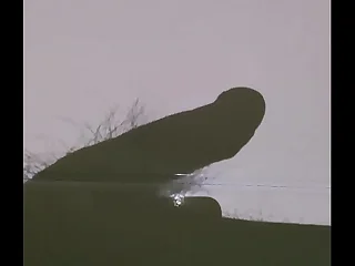 早晨勃起后在影子下自慰射精